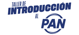Taller de Introducción al Partido (en línea)
